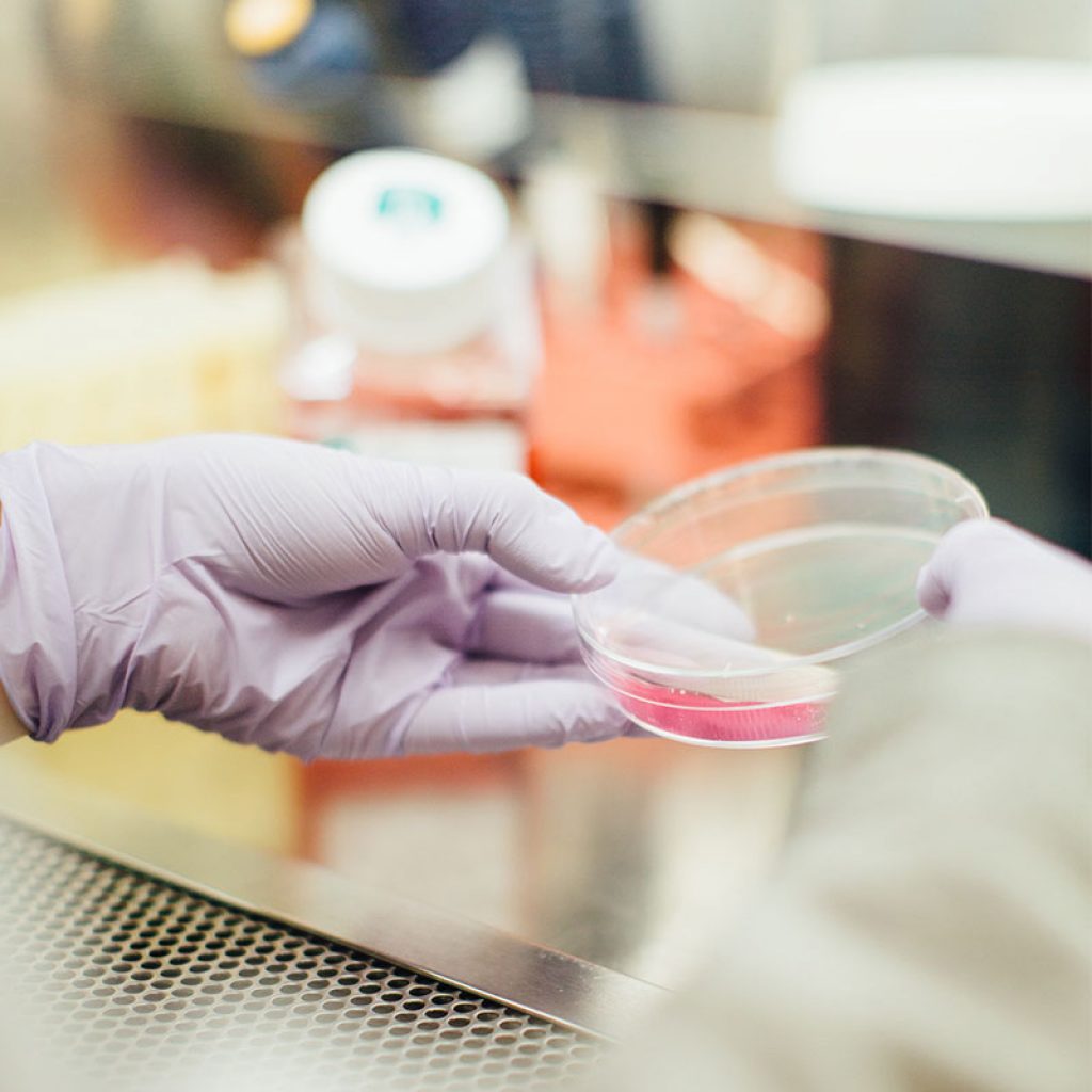 agency-for-words-a4words-sector-ciencias-salud