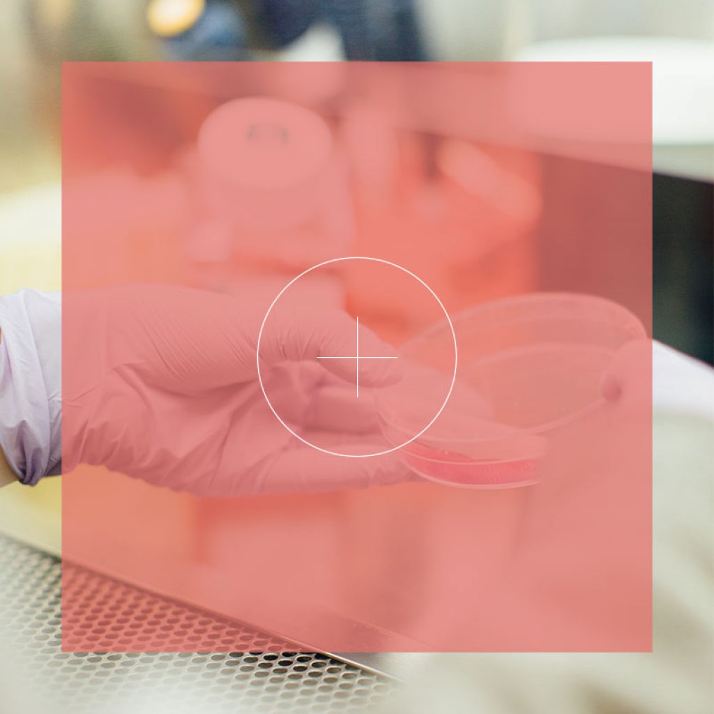 agency-for-words-a4words-sector-ciencias-salud-hoover